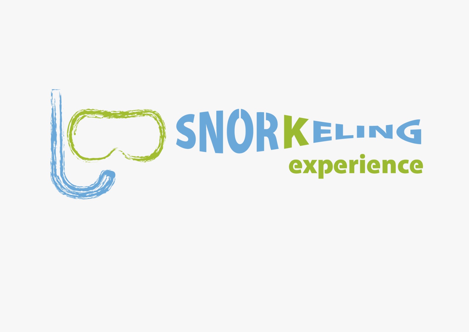 Snorkeling Experience